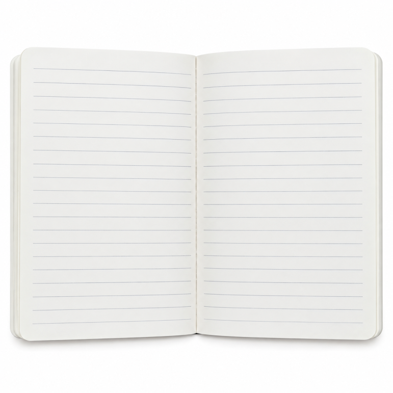 Notebook Blue birds